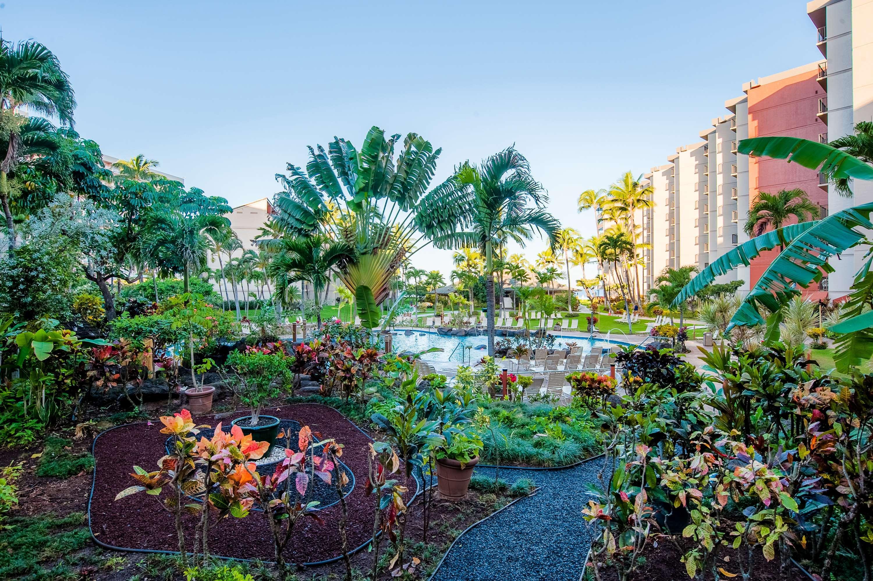 Aston Kaanapali Shores Aparthotel Lahaina Exterior photo